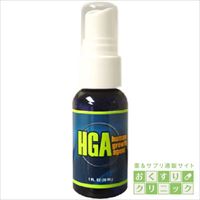 HGAスプレー 30ml